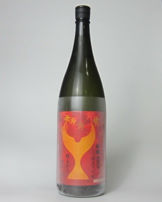 10010004901190807102_1